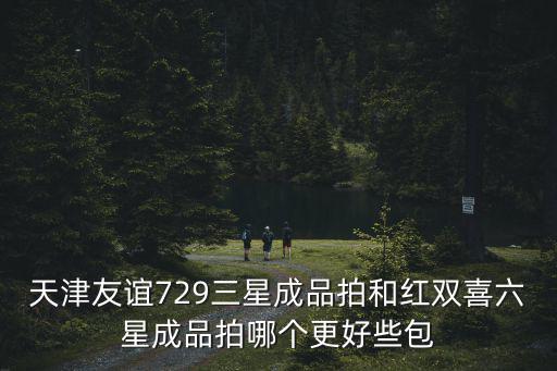 天津友誼729三星成品拍和紅雙喜六星成品拍哪個(gè)更好些包