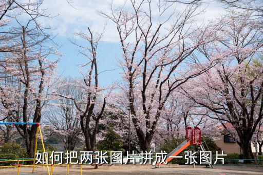 如何把兩張圖片拼成一張圖片