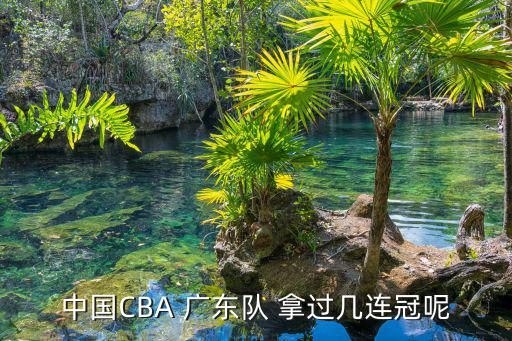 中國CBA 廣東隊 拿過幾連冠呢