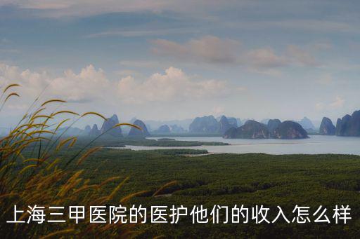 上海三甲醫(yī)院的醫(yī)護(hù)他們的收入怎么樣