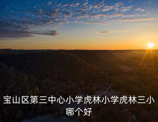 寶山區第三中心小學虎林小學虎林三小哪個好