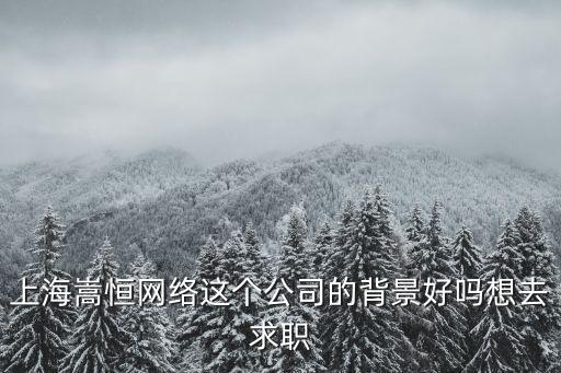 上海嵩恒網絡這個公司的背景好嗎想去求職