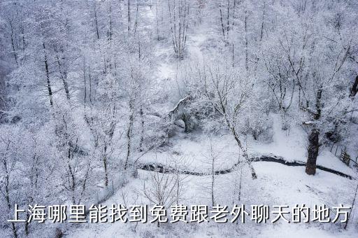上海哪里能找到免費跟老外聊天的地方
