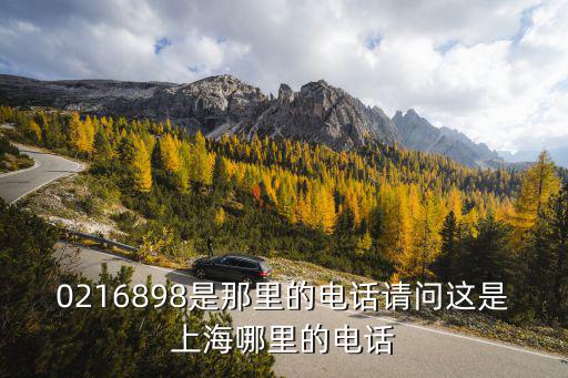0216898是那里的電話請問這是上海哪里的電話