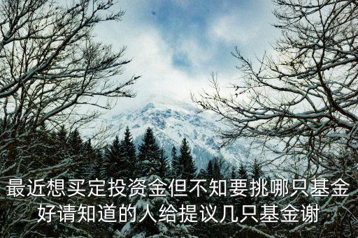 最近想買定投資金但不知要挑哪只基金好請知道的人給提議幾只基金謝