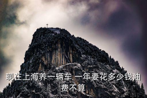 上海市每年汽油消耗量，現(xiàn)在上海養(yǎng)一輛車 一年要花多少錢油費(fèi)不算