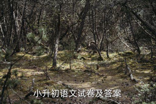 小升初語文試卷及答案