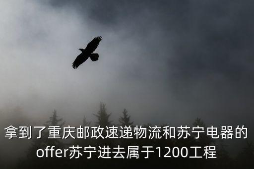 拿到了重慶郵政速遞物流和蘇寧電器的offer蘇寧進去屬于1200工程