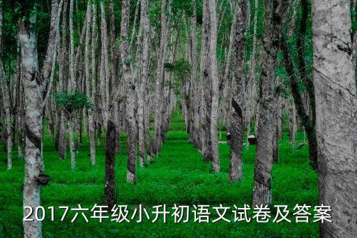 2017六年級小升初語文試卷及答案