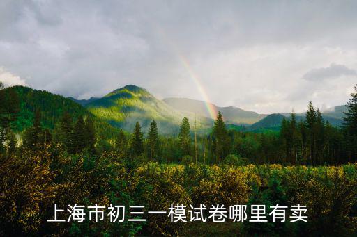 上海市初三一模試卷哪里有賣
