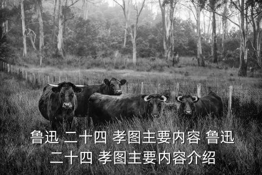  魯迅 二十四 孝圖主要內容 魯迅 二十四 孝圖主要內容介紹