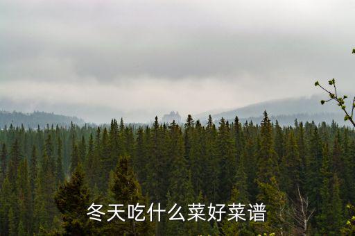 冬天吃什么菜好菜譜