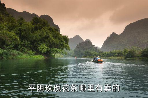 平陰玫瑰花茶，平陰玫瑰花茶哪里有賣的