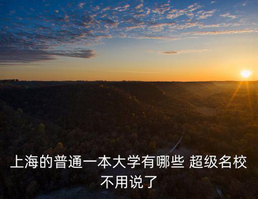 上海市高校保衛協會，關于上海的大學懂的幫個忙分都給你