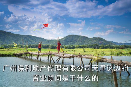 廣州保利地產(chǎn)代理有限公司天津這邊的置業(yè)顧問(wèn)是干什么的