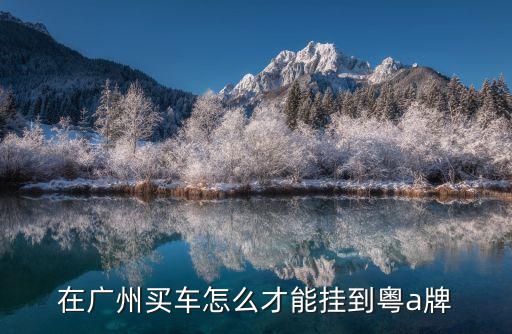 在廣州買車怎么才能掛到粵a牌