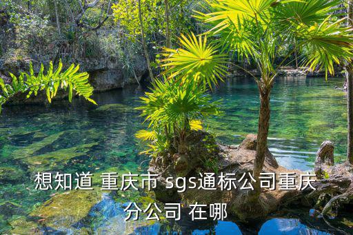 想知道 重慶市 sgs通標公司重慶分公司 在哪