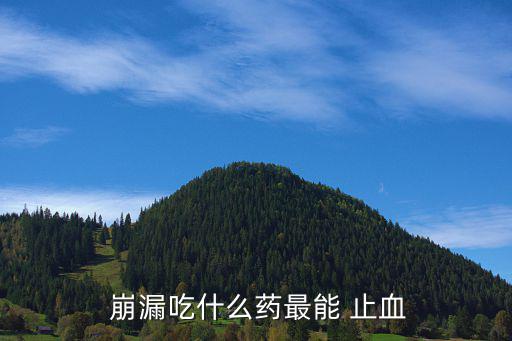  崩漏吃什么藥最能 止血