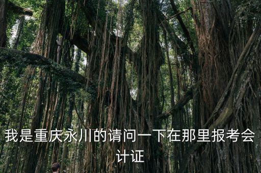 我是重慶永川的請問一下在那里報考會計證