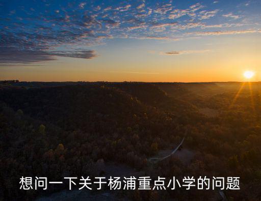 想問一下關于楊浦重點小學的問題