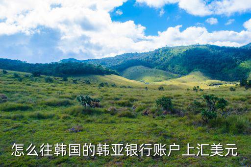 怎么往韓國的韓亞銀行賬戶上匯美元