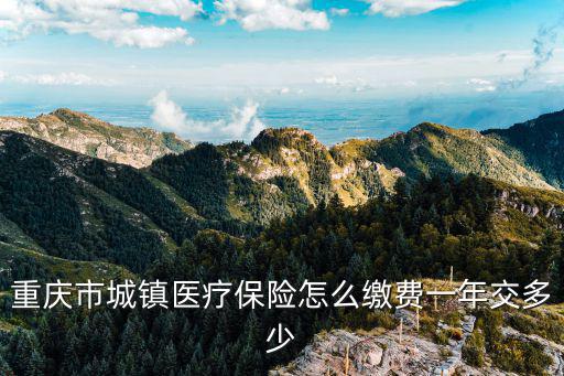 重慶市的醫保怎么交，重慶以內的醫保和社保的費用是怎么個繳法