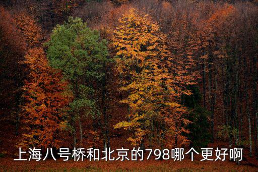 上海八號橋和北京的798哪個更好啊