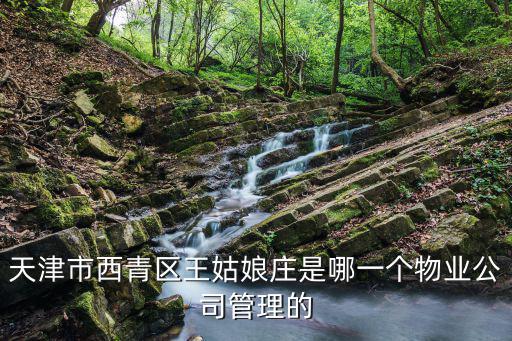 天津市西青區(qū)王姑娘莊是哪一個(gè)物業(yè)公司管理的