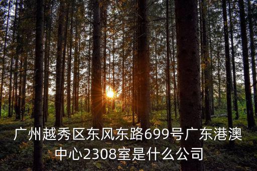 廣州越秀區(qū)東風(fēng)東路699號廣東港澳中心2308室是什么公司