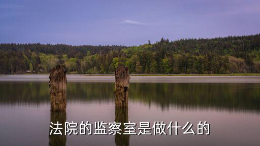 上海市靜安區法院紀律檢查，法院的監察室是做什么的