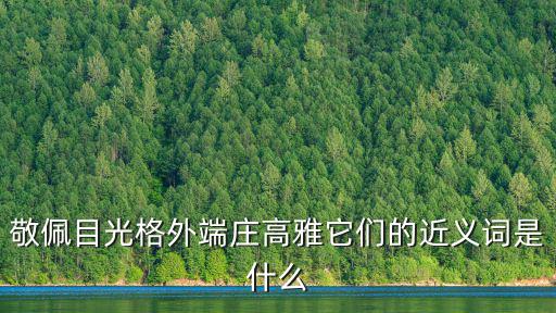 敬佩目光格外端莊高雅它們的近義詞是什么