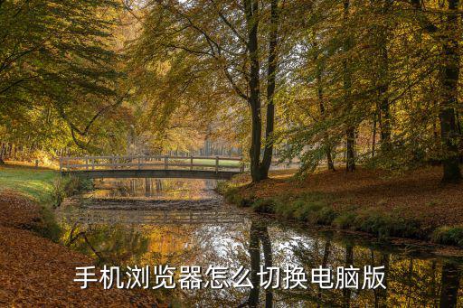 手機瀏覽器怎么改成電腦版，手機瀏覽器怎么改成電腦版