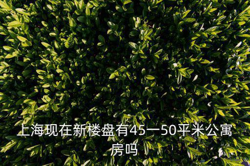 上海現(xiàn)在新樓盤有45一50平米公寓房嗎