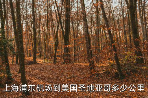 上海浦東機場到美國圣地亞哥多少公里