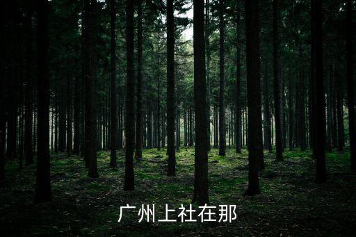 廣州上社22巷，廣州上社在那