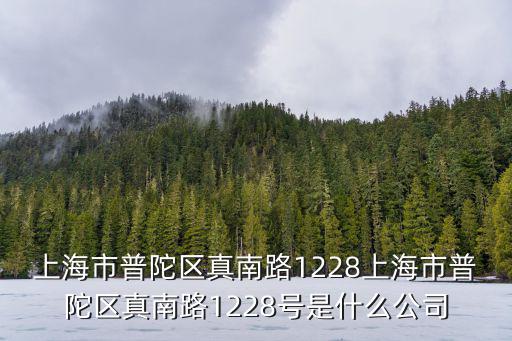 上海市普陀區真南路1228上海市普陀區真南路1228號是什么公司