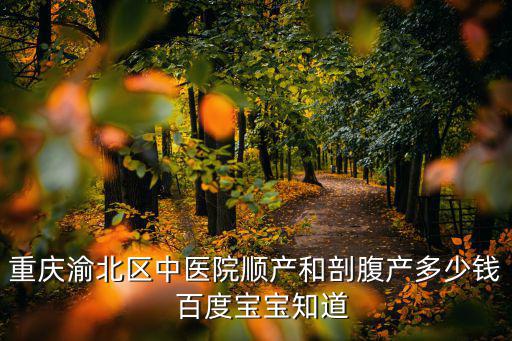 重慶市中醫院產科費用，重慶做無痛分娩大概費用多少