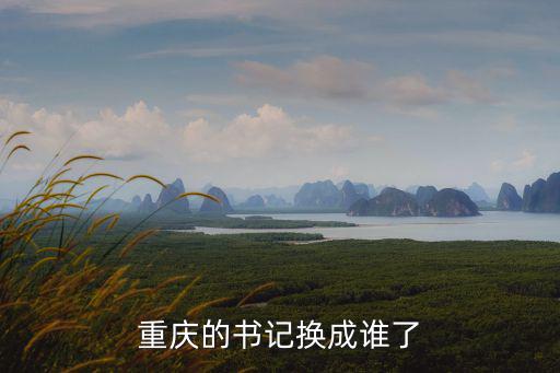 重慶市原書記有幾個(gè)，0205年誰是重慶市委書記是誰