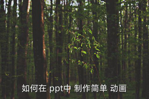 如何在 ppt中 制作簡單 動畫