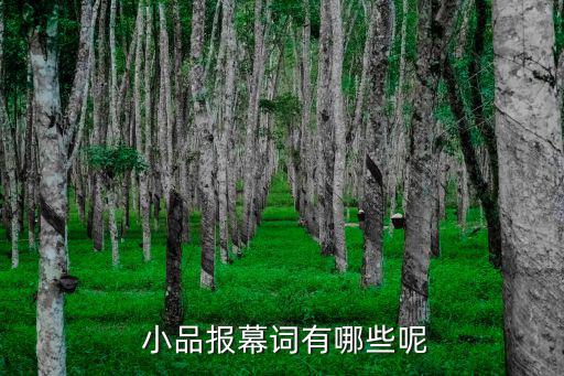  小品報幕詞有哪些呢