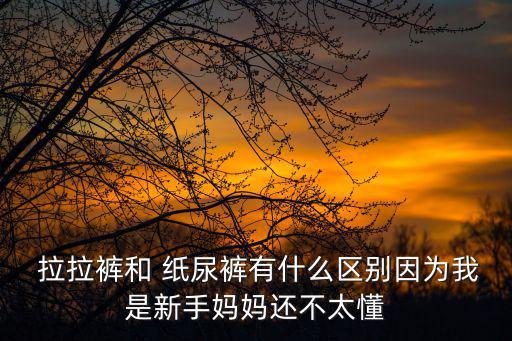  拉拉褲和 紙尿褲有什么區(qū)別因?yàn)槲沂切率謰寢屵€不太懂