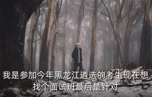 我是參加今年黑龍江遴選的考生現(xiàn)在想找個(gè)面試班最后是針對(duì)