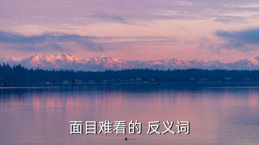 面目難看的 反義詞