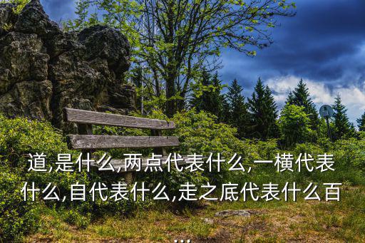 道,是什么,兩點(diǎn)代表什么,一橫代表什么,自代表什么,走之底代表什么百...