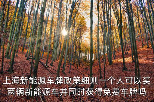 上海新能源車牌政策細(xì)則一個(gè)人可以買兩輛新能源車并同時(shí)獲得免費(fèi)車牌嗎