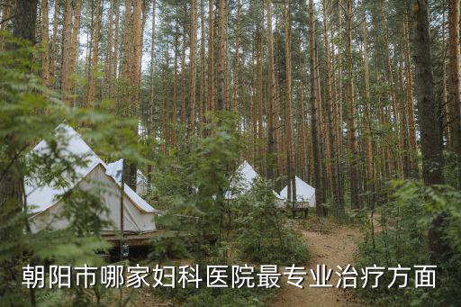 朝陽市哪家婦科醫院最專業治療方面