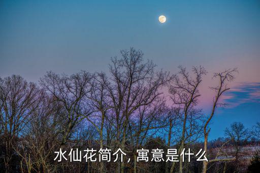  水仙花簡介, 寓意是什么