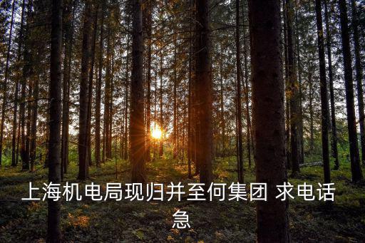 上海機電局現歸并至何集團 求電話 急