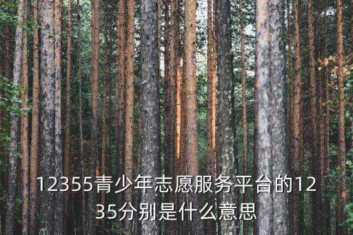 12355青少年志愿服務(wù)平臺的1235分別是什么意思