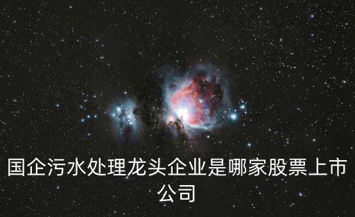 重慶市環(huán)衛(wèi)集團屬于國企嗎，重慶市生態(tài)環(huán)境監(jiān)測中心是國企還是私企